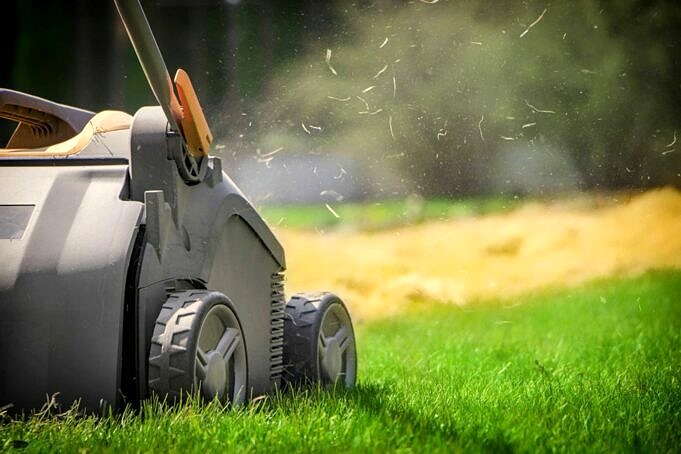 5 Tipps Zur Rasenpflege Für Ihren Garten